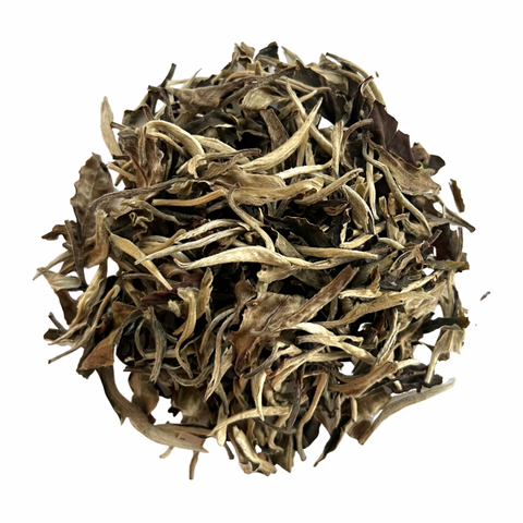 organic moonlight white tea
organic white tea
white tea
high quality white tea
organic high quality white tea
